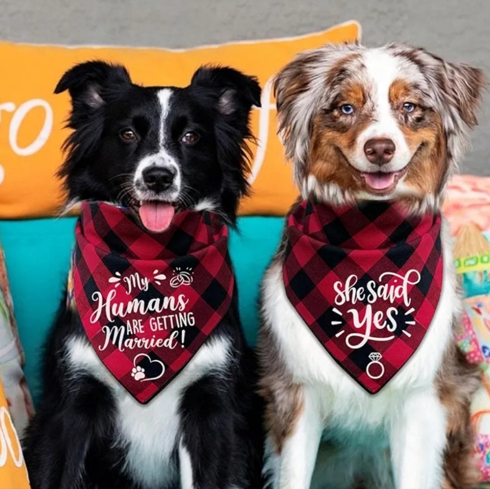 Plaid Engagement Dog Bandanas